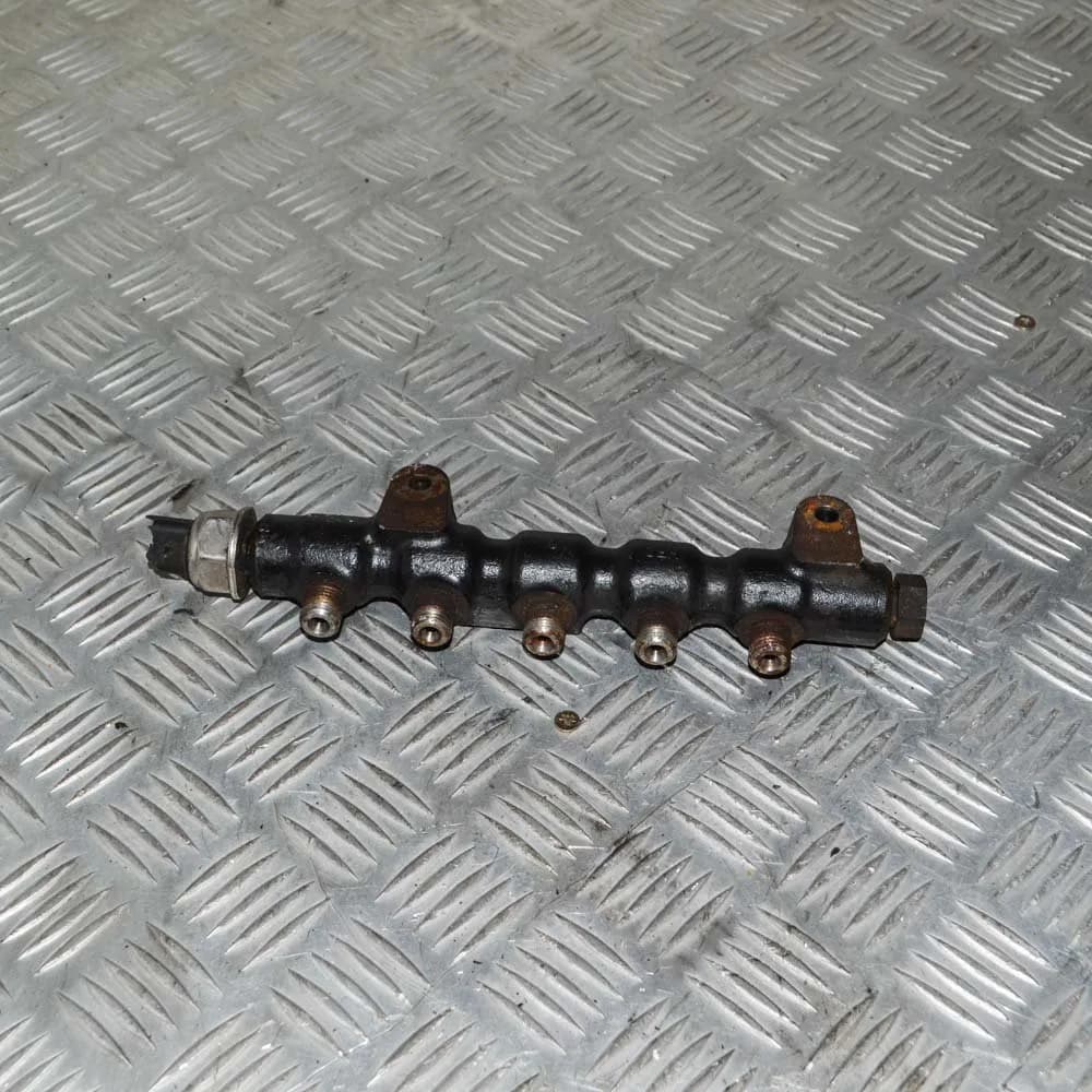 CITROËN C3 I FC_ 2003 Fuel Rail 9642503380