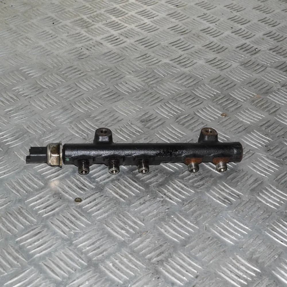CITROËN C3 II 2010 Fuel Rail 9685297580