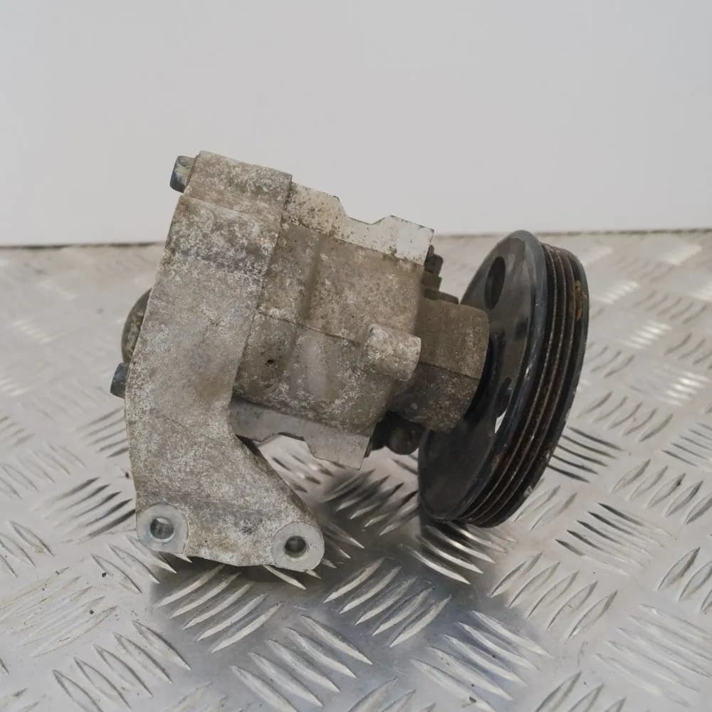 CHEVROLET AVEO Hatchback T250, T255 2009 Power Steering Pump
