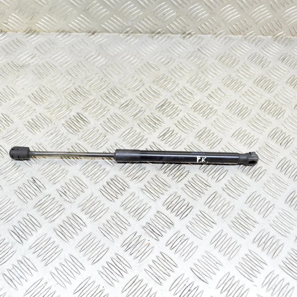 TESLA MODEL 3 Front Left Bonnet Hood Gas Strut 1091472-00-B 2020